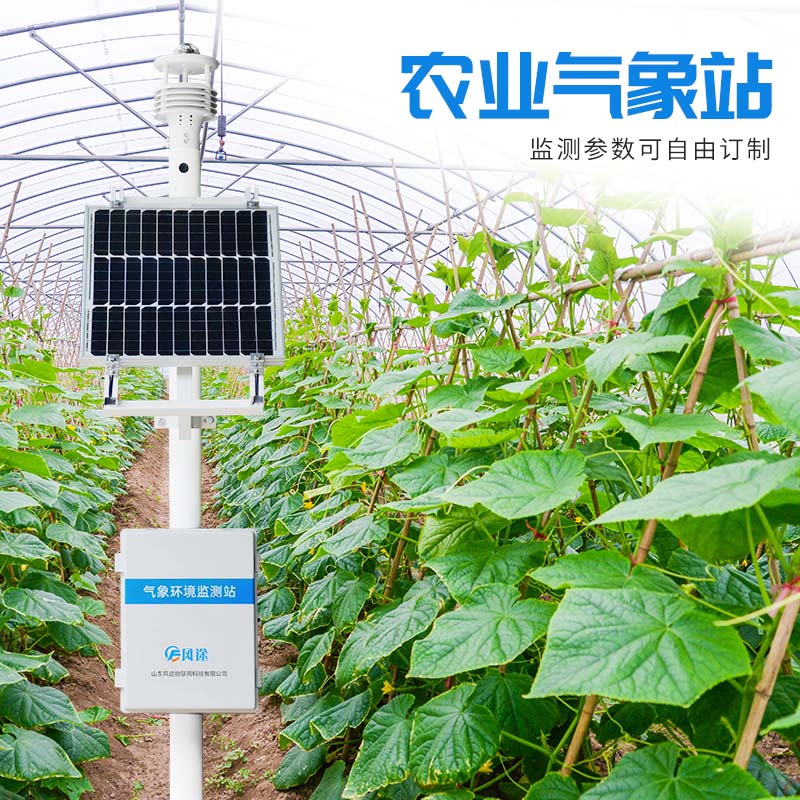 農業氣象站密切監測農業小氣候